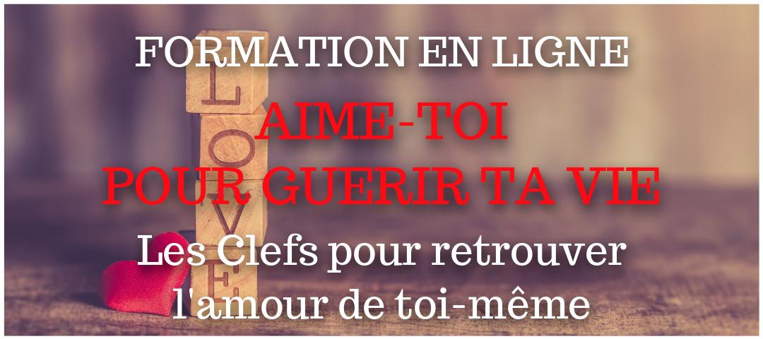 Formation en ligne par Eric Delafontaine