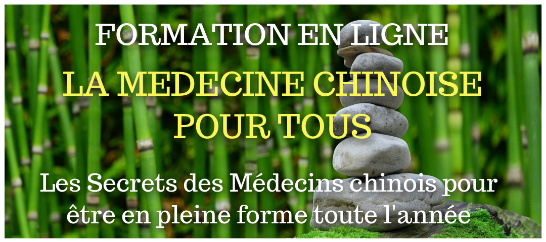 Formation en ligne La Médecine Chnoise pour tous