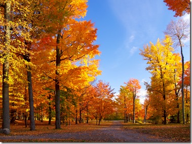 L’équinoxe d’automne