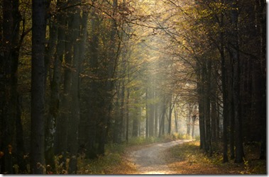 L’entrée dans l’hiver