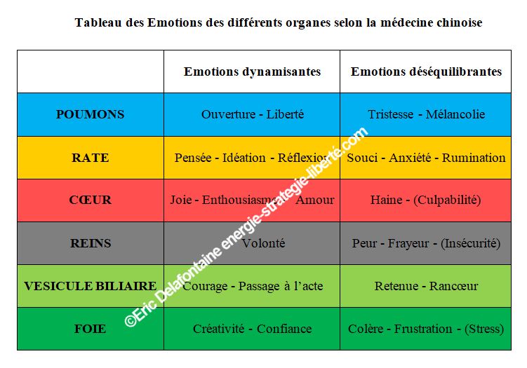 correspondances émotions et organes en médecine chinoise