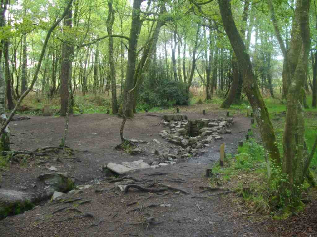 la forêt de Brocéliande est un lieu énergétique fort