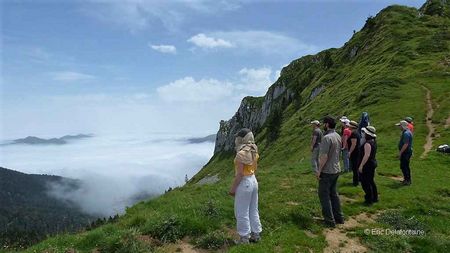 un groupe de qi gong à la montagne